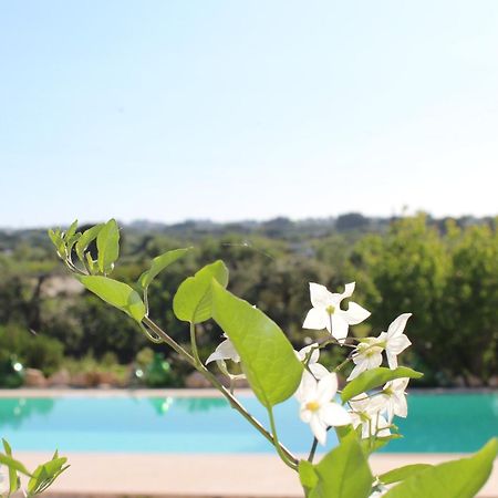 오스투니 Trullo Il Melograno 게스트하우스 외부 사진