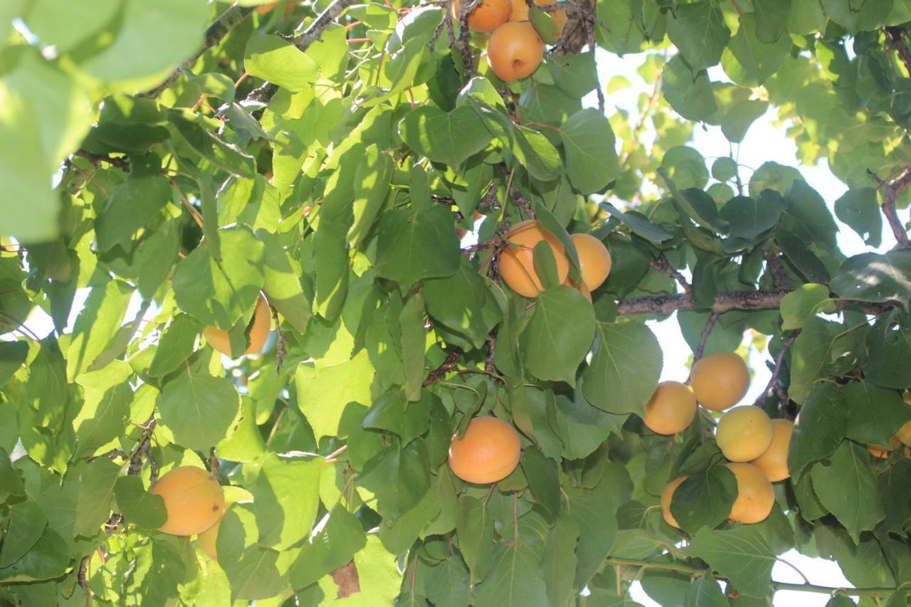 오스투니 Trullo Il Melograno 게스트하우스 외부 사진